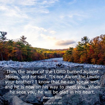 Picture 03 - Exodus 4:14 BSB - Then the anger of the LORD burned against Moses, - Bible Verse Picture
