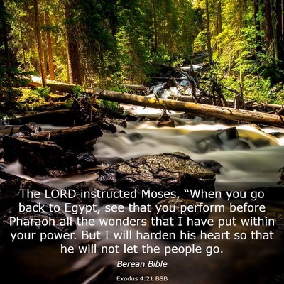 Picture 03 - Exodus 4:21 BSB - The LORD instructed Moses, “When you go back to - Bible Verse Picture