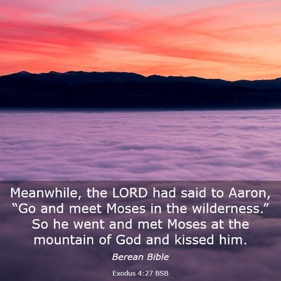Picture 03 - Exodus 4:27 BSB - Meanwhile, the LORD had said to Aaron, “Go and - Bible Verse Picture