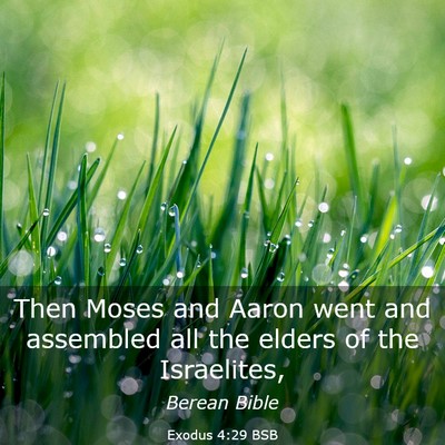 Picture 03 - Exodus 4:29 BSB - Then Moses and Aaron went and assembled all the - Bible Verse Picture