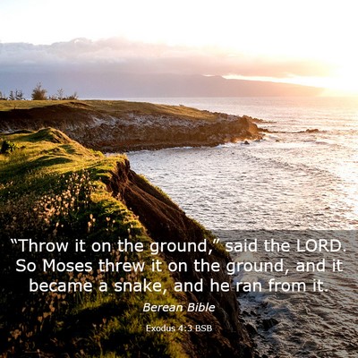 Picture 03 - Exodus 4:3 BSB - “Throw it on the ground,” said the LORD. So - Bible Verse Picture