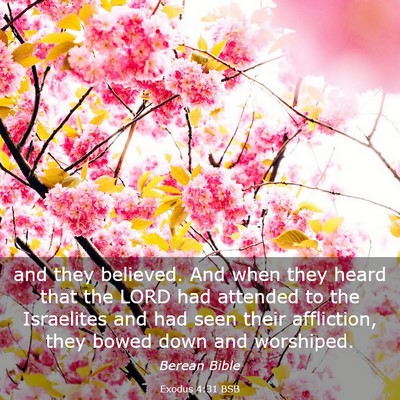Picture 03 - Exodus 4:31 BSB - and they believed. And when they heard that the - Bible Verse Picture