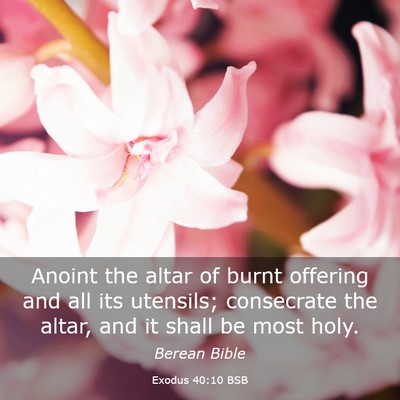 Picture 03 - Exodus 40:10 BSB - Anoint the altar of burnt offering and all its - Bible Verse Picture
