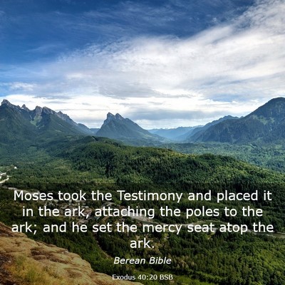 Picture 03 - Exodus 40:20 BSB - Moses took the Testimony and placed it in the - Bible Verse Picture