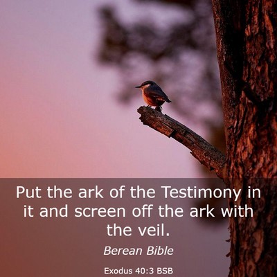 Picture 03 - Exodus 40:3 BSB - Put the ark of the Testimony in it and screen off - Bible Verse Picture