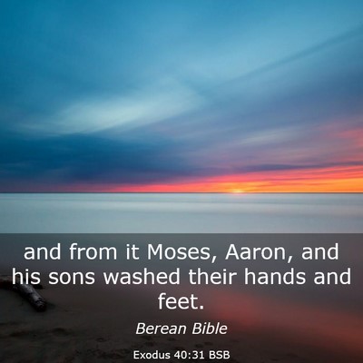 Picture 03 - Exodus 40:31 BSB - and from it Moses, Aaron, and his sons washed - Bible Verse Picture