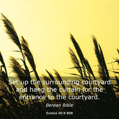 Picture 03 - Exodus 40:8 BSB - Set up the surrounding courtyard and hang the - Bible Verse Picture
