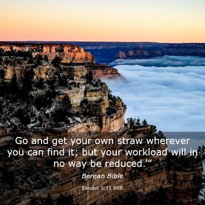 Picture 03 - Exodus 5:11 BSB - Go and get your own straw wherever you can find - Bible Verse Picture