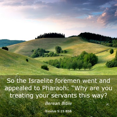 Picture 03 - Exodus 5:15 BSB - So the Israelite foremen went and appealed to - Bible Verse Picture
