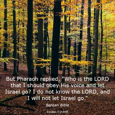 Picture 03 - Exodus 5:2 BSB - But Pharaoh replied, “Who is the LORD that I - Bible Verse Picture