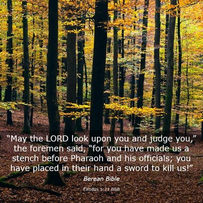 Picture 03 - Exodus 5:21 BSB - “May the LORD look upon you and judge you,” - Bible Verse Picture