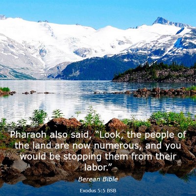 Picture 03 - Exodus 5:5 BSB - Pharaoh also said, “Look, the people of the - Bible Verse Picture