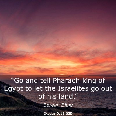 Picture 03 - Exodus 6:11 BSB - “Go and tell Pharaoh king of Egypt to let the - Bible Verse Picture