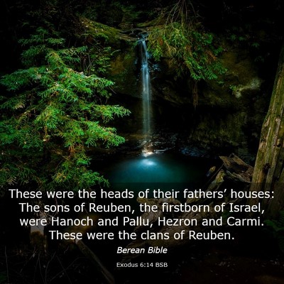 Picture 03 - Exodus 6:14 BSB - These were the heads of their fathers’ houses: - Bible Verse Picture