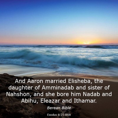 Picture 03 - Exodus 6:23 BSB - And Aaron married Elisheba, the daughter of - Bible Verse Picture