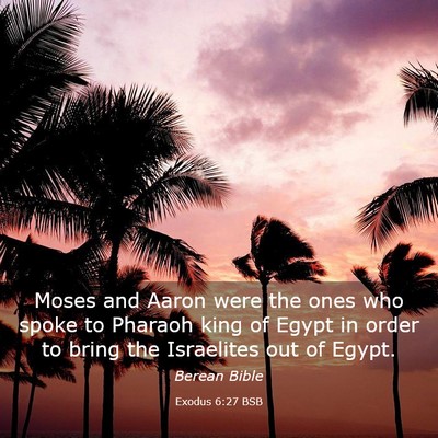 Picture 03 - Exodus 6:27 BSB - Moses and Aaron were the ones who spoke to - Bible Verse Picture