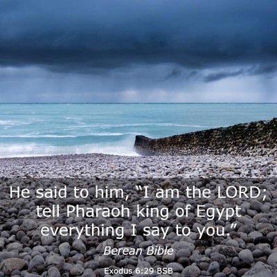 Picture 03 - Exodus 6:29 BSB - He said to him, “I am the LORD; tell Pharaoh - Bible Verse Picture
