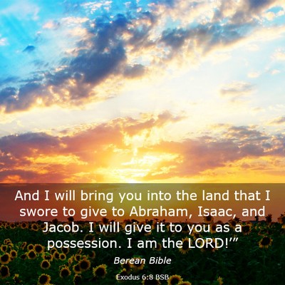Picture 03 - Exodus 6:8 BSB - And I will bring you into the land that I swore - Bible Verse Picture