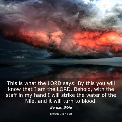 Picture 03 - Exodus 7:17 BSB - This is what the LORD says: By this you will know - Bible Verse Picture