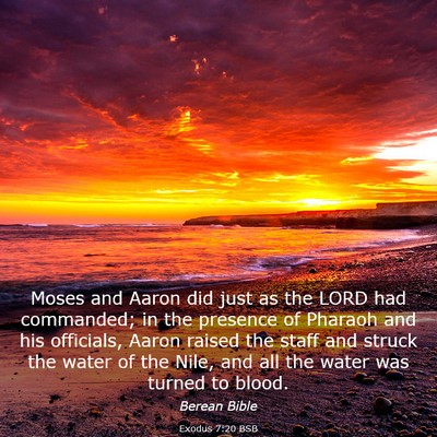 Picture 03 - Exodus 7:20 BSB - Moses and Aaron did just as the LORD had - Bible Verse Picture