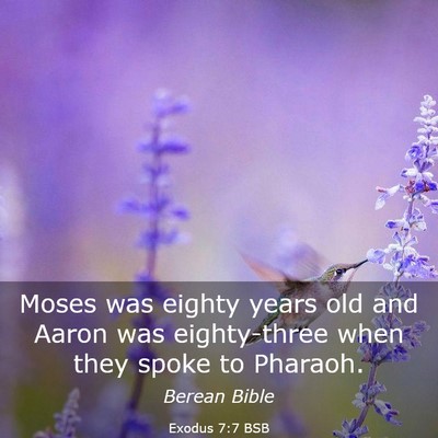 Picture 03 - Exodus 7:7 BSB - Moses was eighty years old and Aaron was - Bible Verse Picture