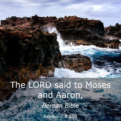 Picture 03 - Exodus 7:8 BSB - The LORD said to Moses and - Bible Verse Picture