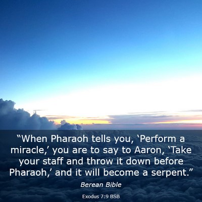 Picture 03 - Exodus 7:9 BSB - “When Pharaoh tells you, ‘Perform a - Bible Verse Picture