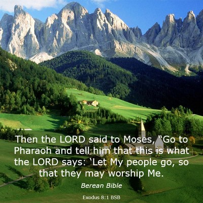 Picture 03 - Exodus 8:1 BSB - Then the LORD said to Moses, “Go to Pharaoh and - Bible Verse Picture