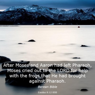 Picture 03 - Exodus 8:12 BSB - After Moses and Aaron had left Pharaoh, Moses - Bible Verse Picture