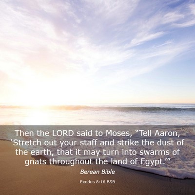 Picture 03 - Exodus 8:16 BSB - Then the LORD said to Moses, “Tell Aaron, - Bible Verse Picture