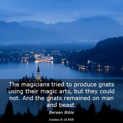 Picture 03 - Exodus 8:18 BSB - The magicians tried to produce gnats using their - Bible Verse Picture