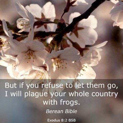 Picture 03 - Exodus 8:2 BSB - But if you refuse to let them go, I will plague - Bible Verse Picture