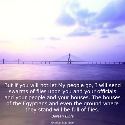 Picture 03 - Exodus 8:21 BSB - But if you will not let My people go, I will send - Bible Verse Picture