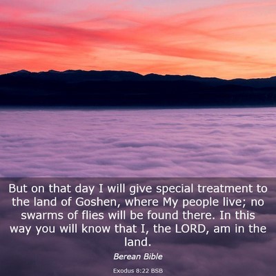 Picture 03 - Exodus 8:22 BSB - But on that day I will give special treatment to - Bible Verse Picture