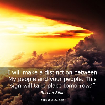 Picture 03 - Exodus 8:23 BSB - I will make a distinction between My people and - Bible Verse Picture
