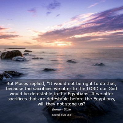 Picture 03 - Exodus 8:26 BSB - But Moses replied, “It would not be right to do - Bible Verse Picture