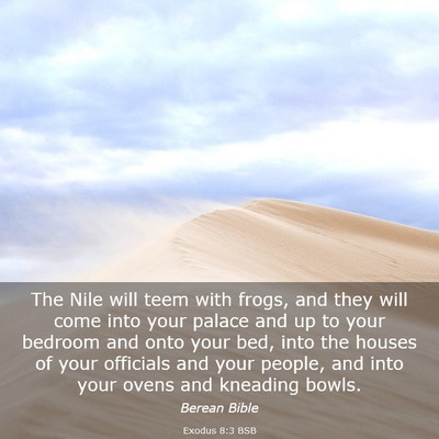 Picture 03 - Exodus 8:3 BSB - The Nile will teem with frogs, and they will come - Bible Verse Picture