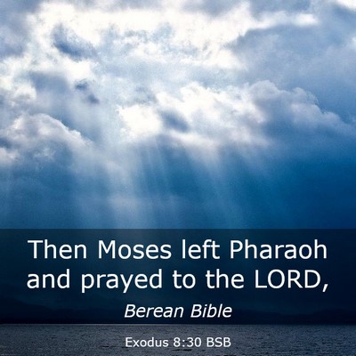 Picture 03 - Exodus 8:30 BSB - Then Moses left Pharaoh and prayed to the - Bible Verse Picture