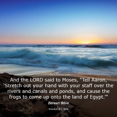 Picture 03 - Exodus 8:5 BSB - And the LORD said to Moses, “Tell Aaron, - Bible Verse Picture