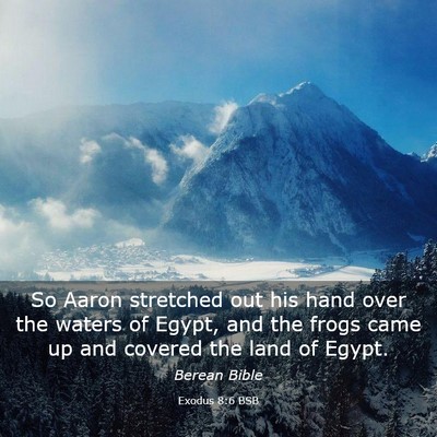 Picture 03 - Exodus 8:6 BSB - So Aaron stretched out his hand over the waters - Bible Verse Picture