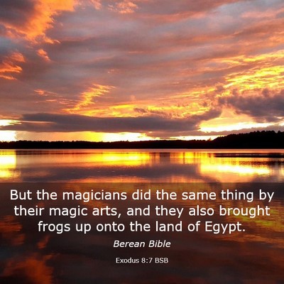 Picture 03 - Exodus 8:7 BSB - But the magicians did the same thing by their - Bible Verse Picture