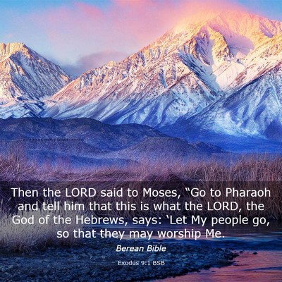 Picture 03 - Exodus 9:1 BSB - Then the LORD said to Moses, “Go to Pharaoh and - Bible Verse Picture
