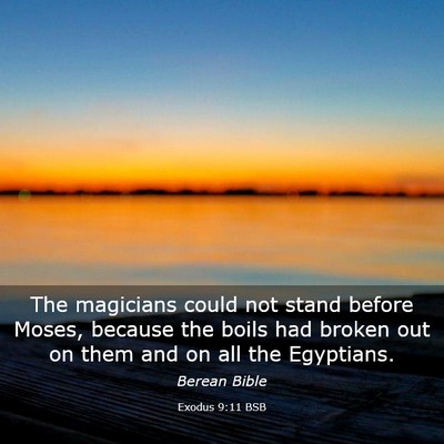 Picture 03 - Exodus 9:11 BSB - The magicians could not stand before Moses, - Bible Verse Picture