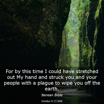Picture 03 - Exodus 9:15 BSB - For by this time I could have stretched out My - Bible Verse Picture