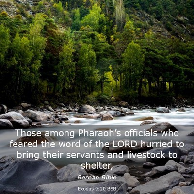 Picture 03 - Exodus 9:20 BSB - Those among Pharaoh’s officials who feared the - Bible Verse Picture