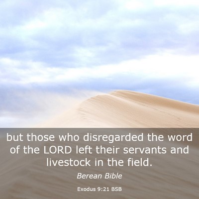 Picture 03 - Exodus 9:21 BSB - but those who disregarded the word of the LORD - Bible Verse Picture