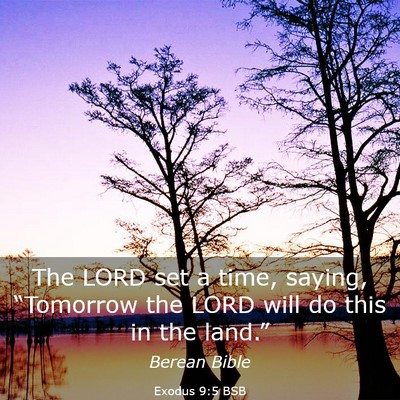 Picture 03 - Exodus 9:5 BSB - The LORD set a time, saying, “Tomorrow the LORD - Bible Verse Picture