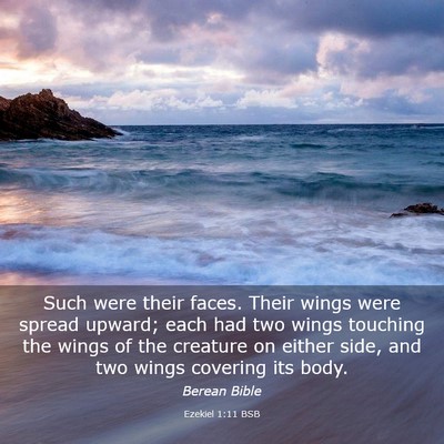 Picture 03 - Ezekiel 1:11 BSB - Such were their faces. Their wings were spread - Bible Verse Picture