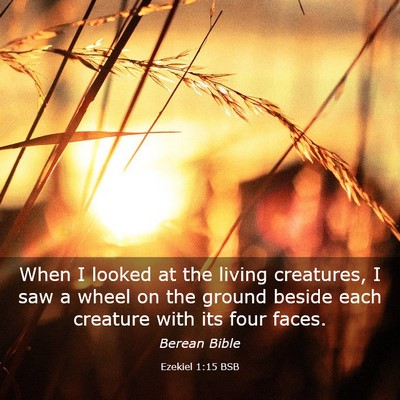 Picture 03 - Ezekiel 1:15 BSB - When I looked at the living creatures, I saw a - Bible Verse Picture