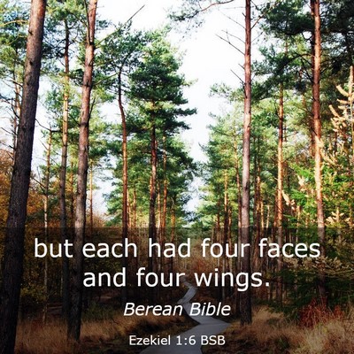 Picture 03 - Ezekiel 1:6 BSB - but each had four faces and four - Bible Verse Picture